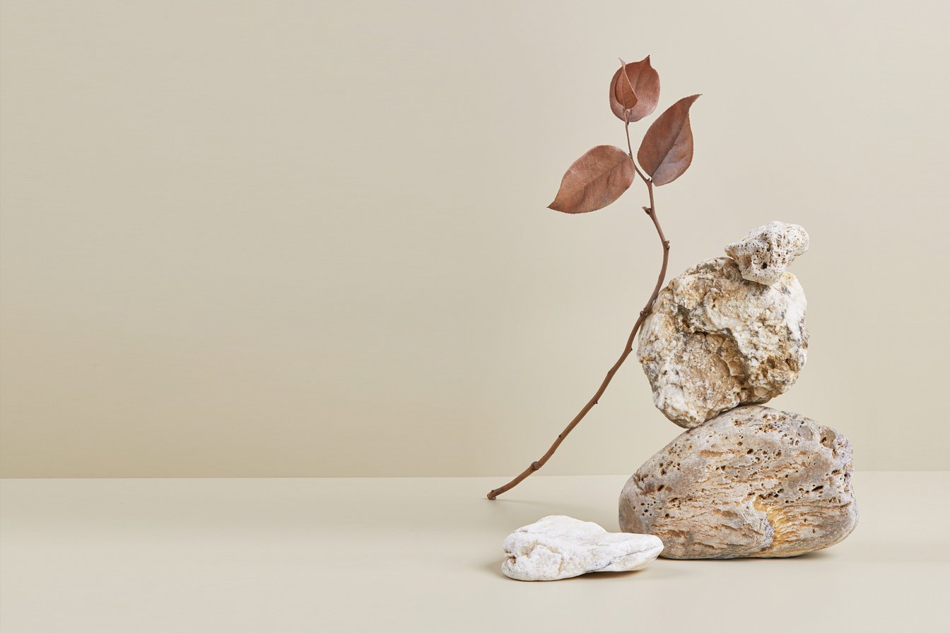 Nature Scene with Composition of Stones and Dry Branch